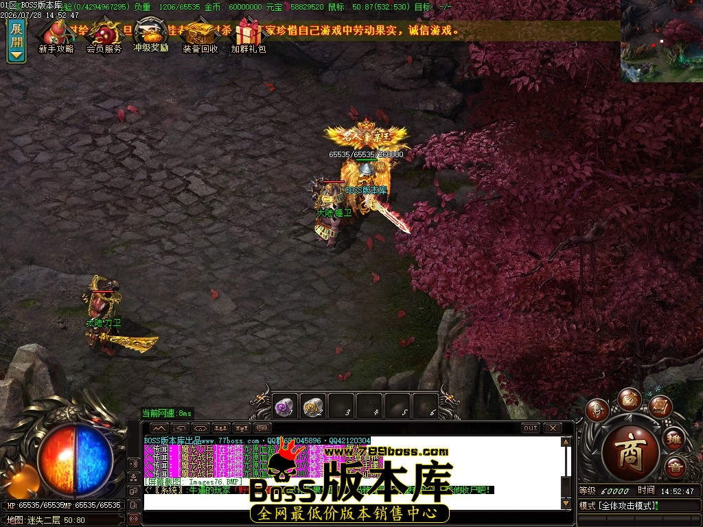 Images77压缩后.JPG