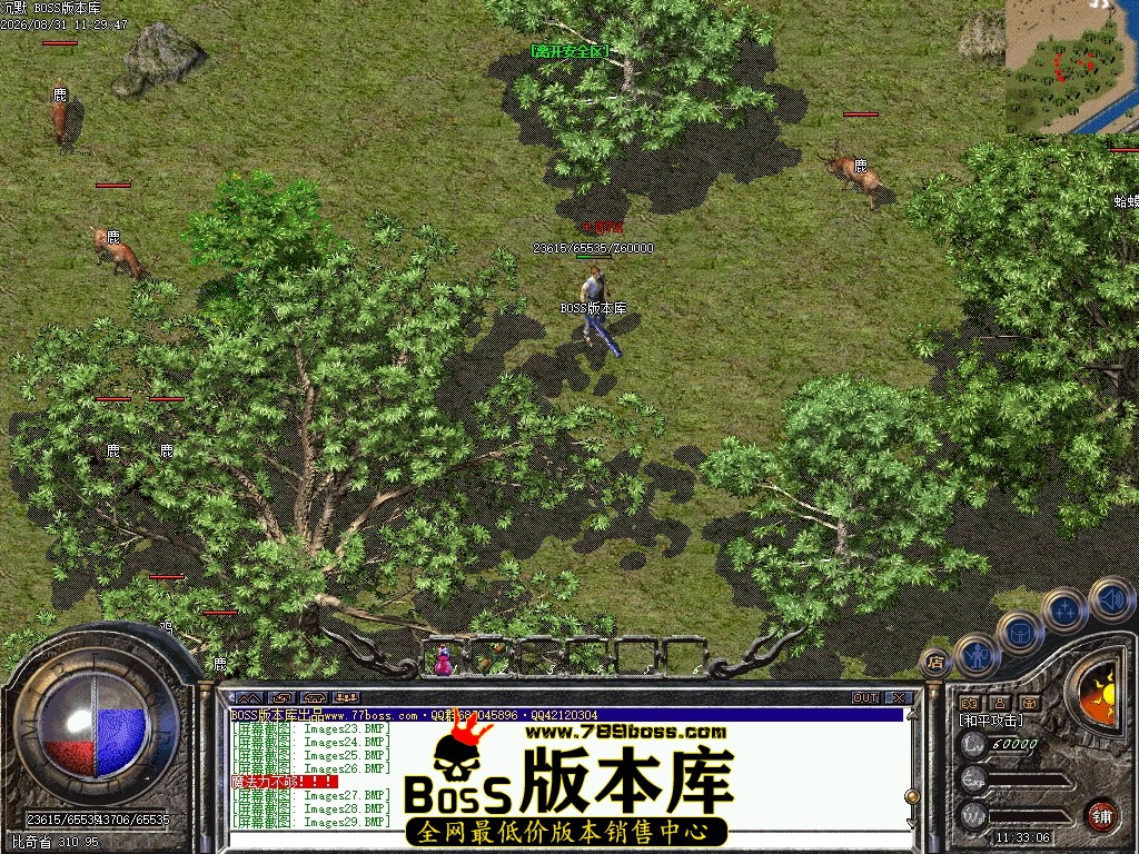 Images30压缩后.JPG