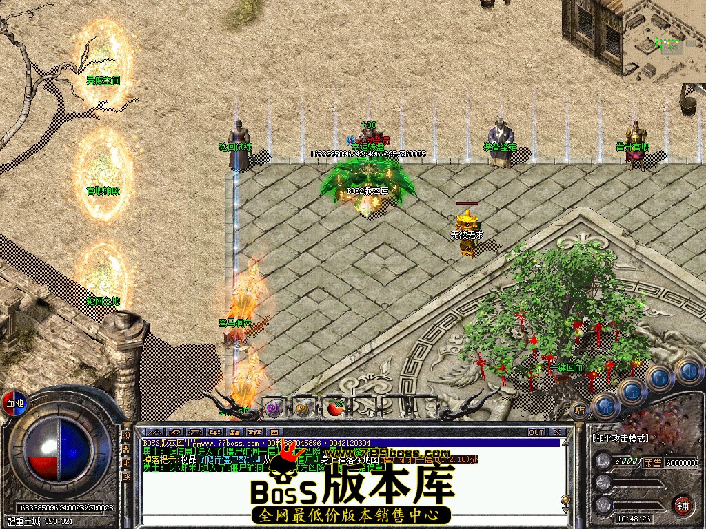 5.jpg